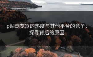 p站浏览器的热度与其他平台的竞争：探寻背后的原因