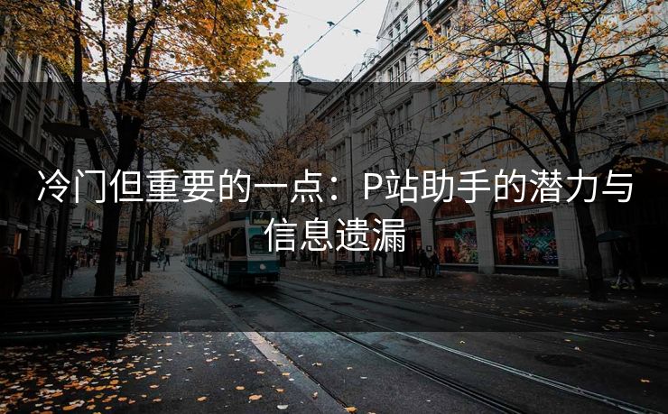 冷门但重要的一点：P站助手的潜力与信息遗漏