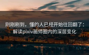 刚刚刷到，懂的人已经开始往回翻了：解读pixiv画师圈内的深层变化