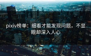 pixiv榜单：细看才能发现问题，不显眼却深入人心
