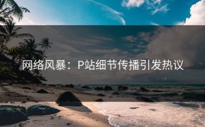 网络风暴：P站细节传播引发热议