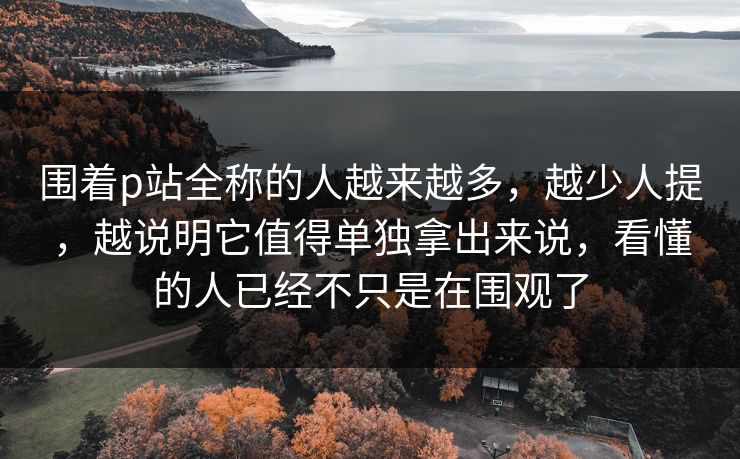 围着p站全称的人越来越多,越少人提,越说明它值得单独拿出来说,看懂的人已经不只是在围观了 围着p站全称的人越来越多,越少人提,越说明它值得单独拿出来说,看懂的人已经不只是在围观了